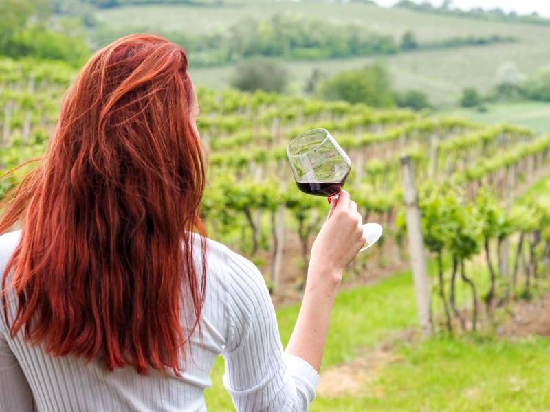 priča o vinarkama koje menjaju lice svog poziva