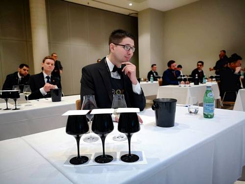 vuk vuletić brani boje srbije 