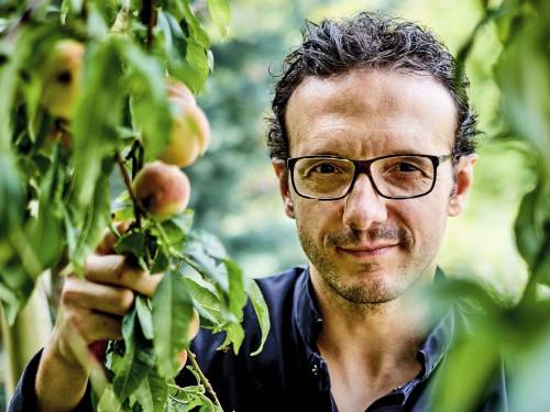 šef simone zanoni dres kod u restoranima je mrtav 