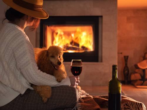 ljubitelji crvenog vina vole pse, a belog mačke 