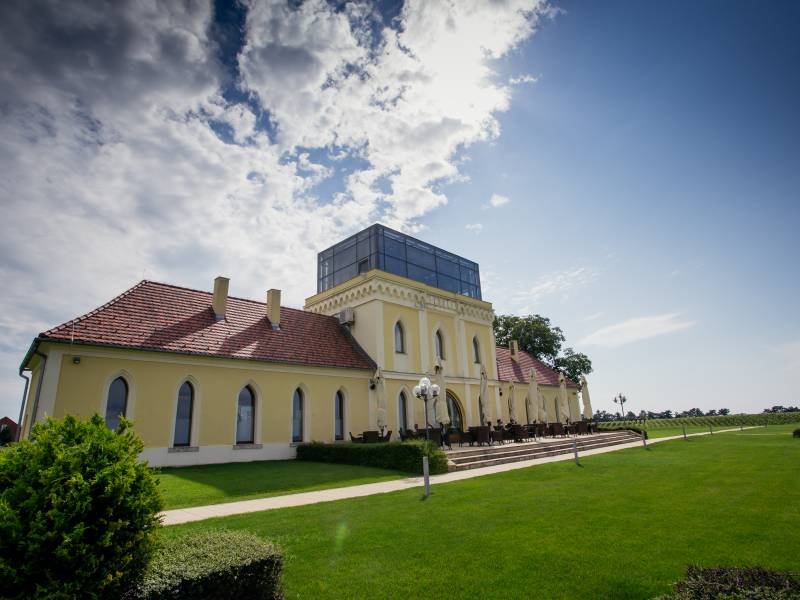 najbolji traminci sveta stižu u ilok 