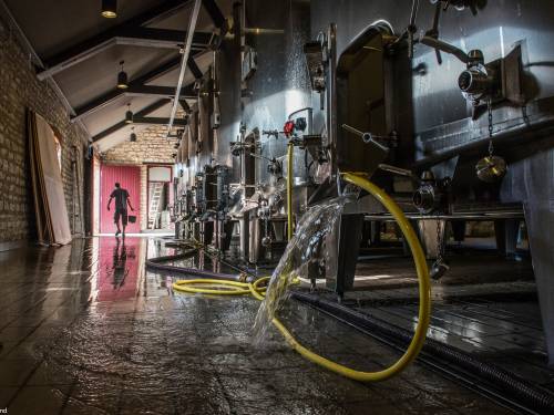 čišćenje vinarije najbolja vinska fotografija u 2019 