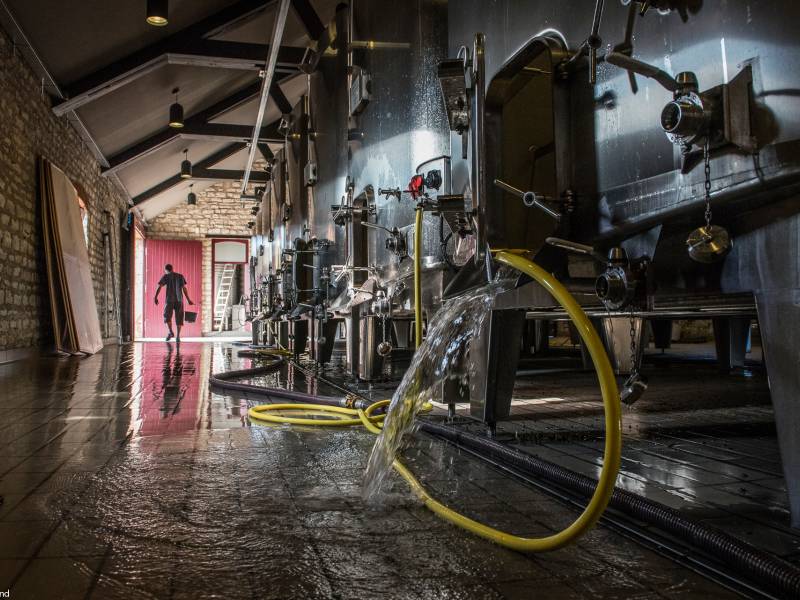 čišćenje vinarije najbolja vinska fotografija u 2019 