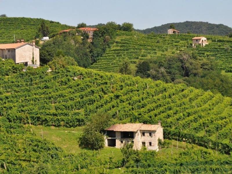 regija proseko na unesco listi svetske baštine