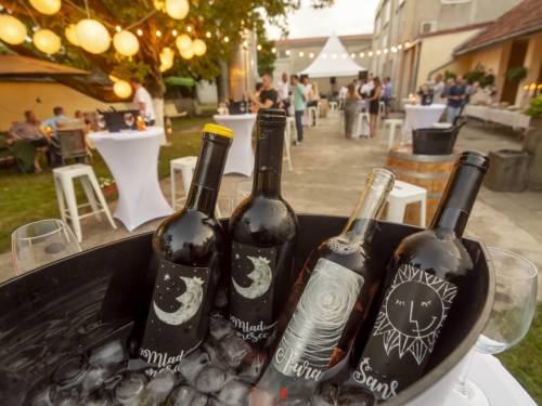 velika letnja žurka u vinariji do kraja sveta