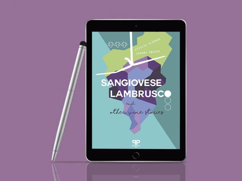 autohtonost je izraz koji je izgubio značenje 