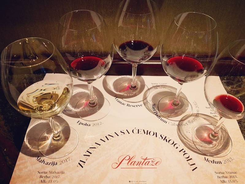 predstavljeno pet vinskih aduta plantaža