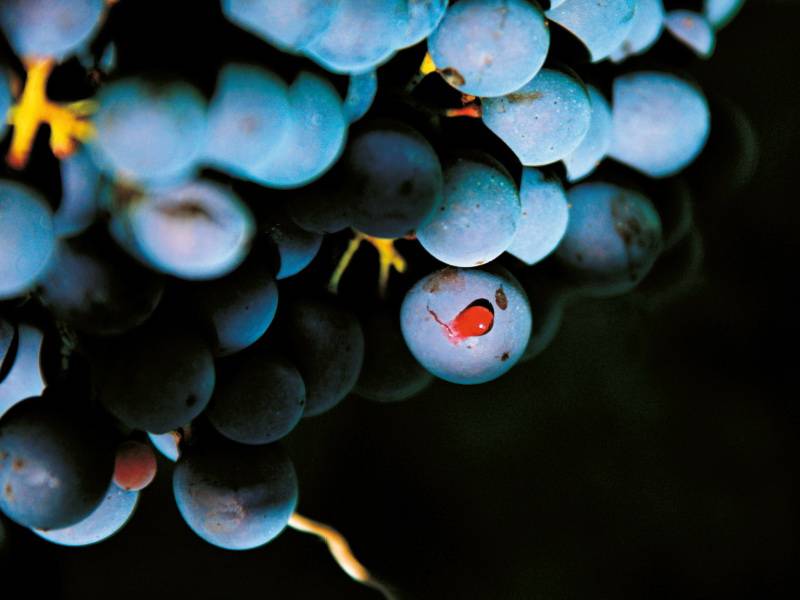 put kroz italiju tri zvezde severnjače