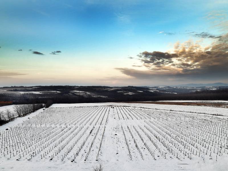 carigradski vinski drum je otvoren 