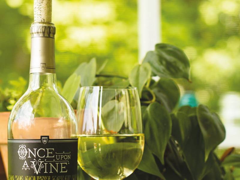 lepo vaspitani divljak