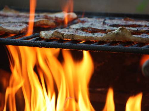 kako da odaberete savršeno vino uz roštilj